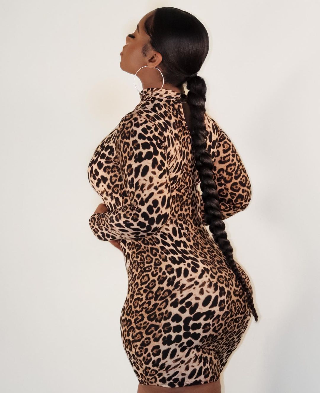 Leopard Print Dress