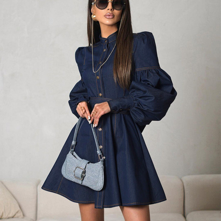 Lantern Sleeve Lace up Dress