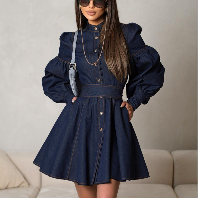 Lantern Sleeve Lace up Dress
