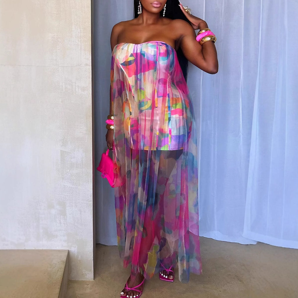 See Through Stretch Mesh Dress